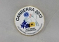 Canberra Imitation Brass Hard Enamel Lapel Pin Custom with CMYK Printing